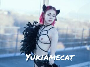 Yukiamecat